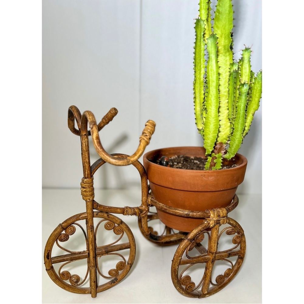 Vintage 70’s Bohemian Rattan Bamboo Bicycle Planter